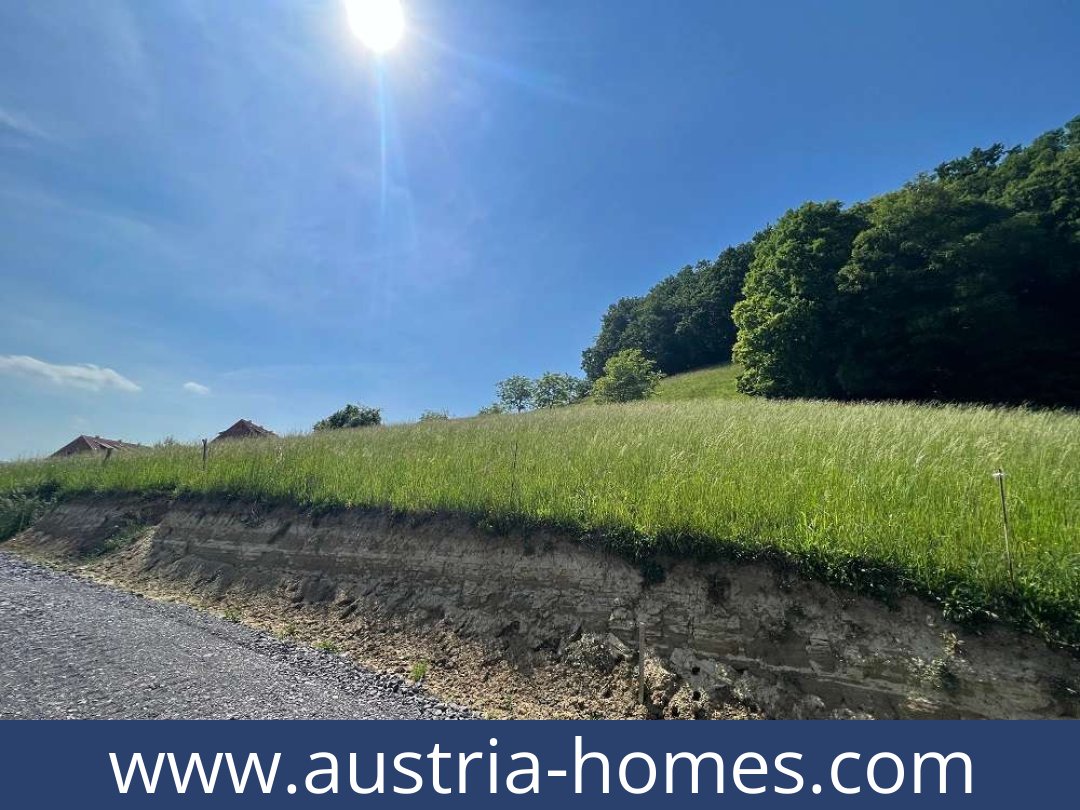 austria-homes-bad gleichenberg-8344-20251011211936-0036501006.jpg